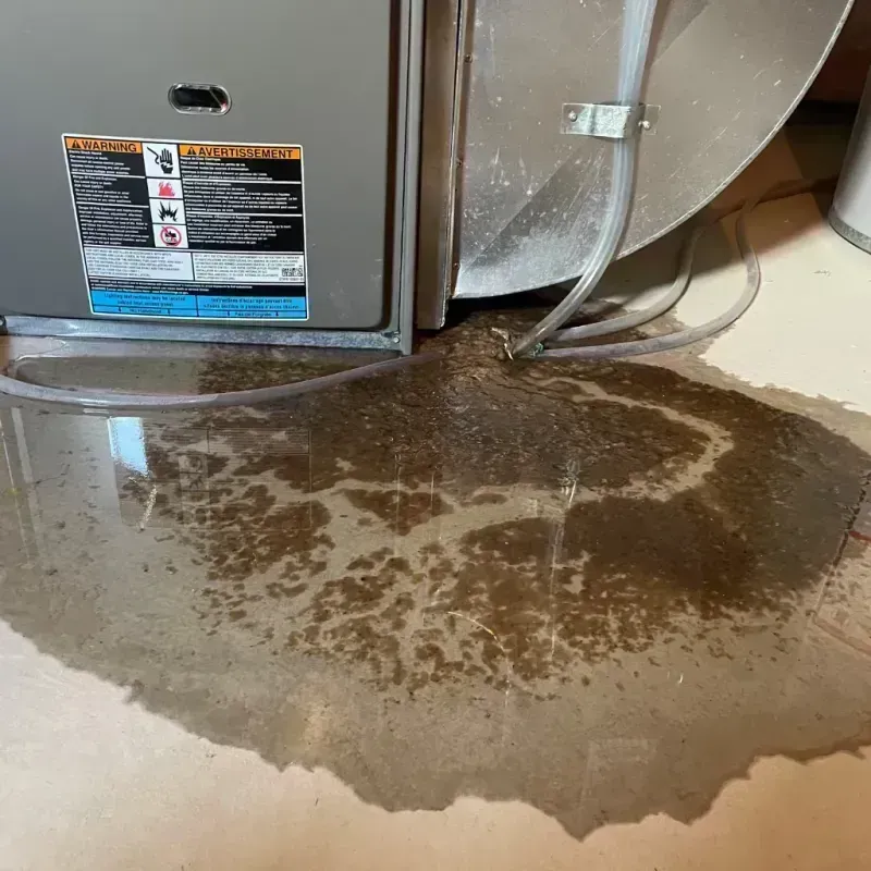 Appliance Leak Cleanup in Leitchfield, KY